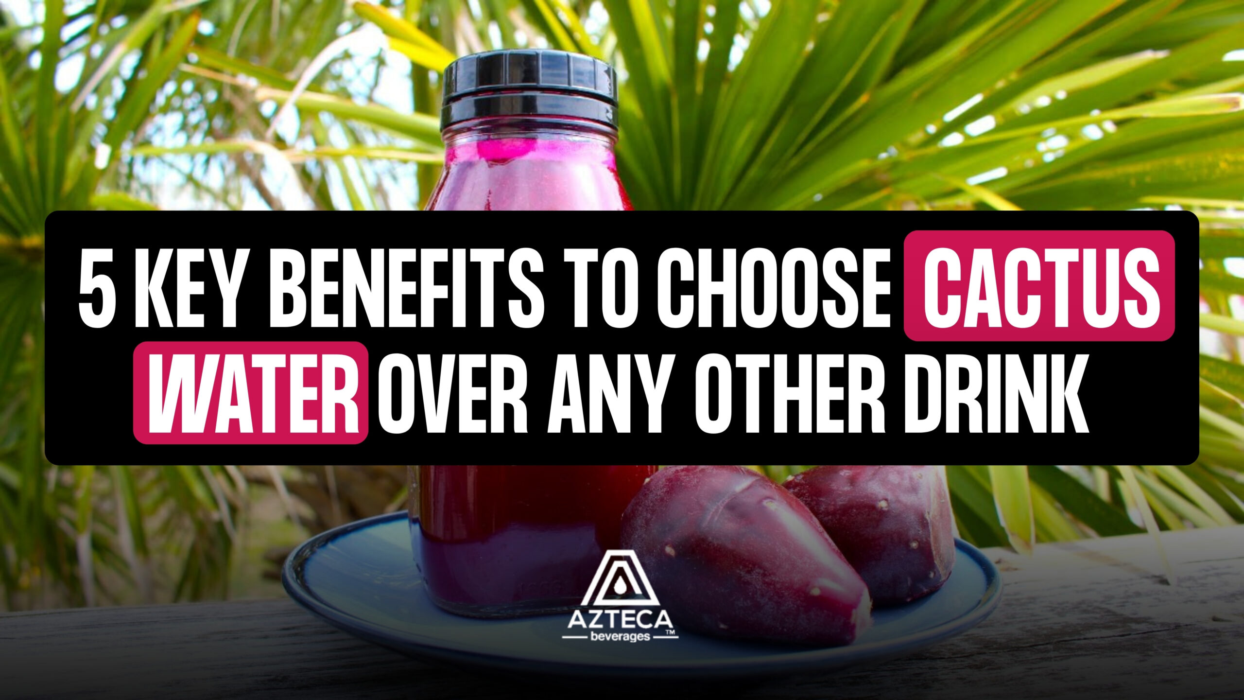 5 Key Benefits to Choose Cactus Water Over Any Other Drink
